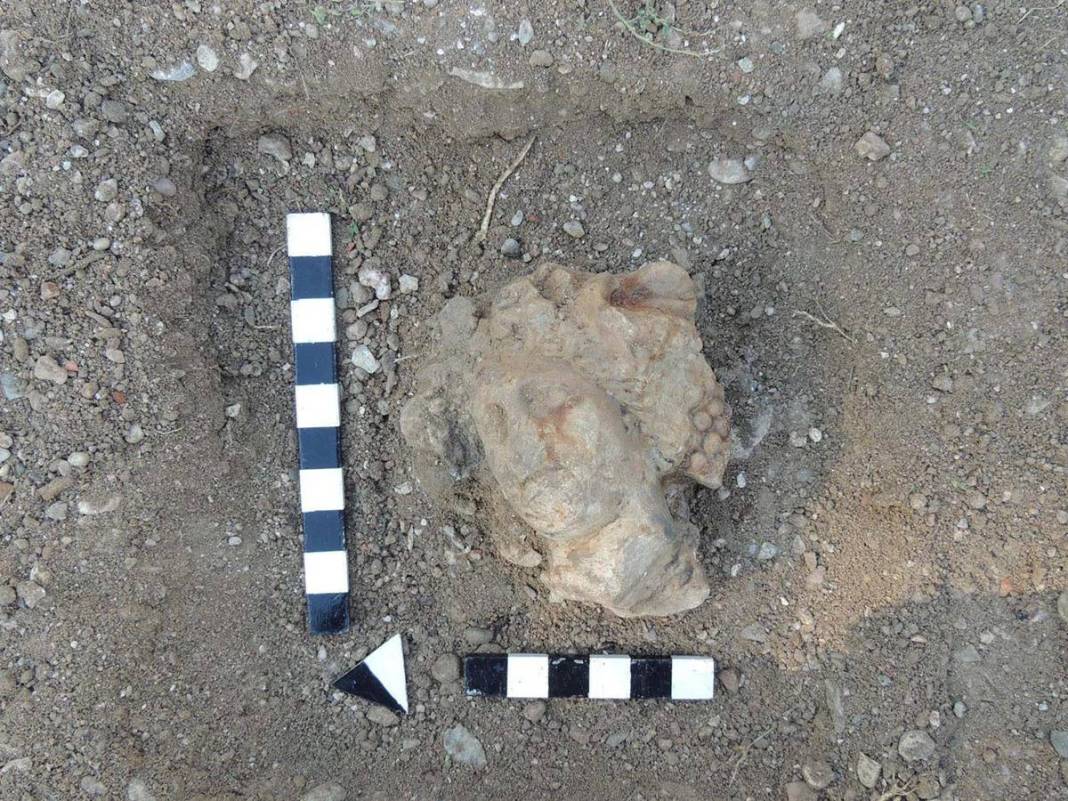 Su birikintisinde bulundu, bir ayağı kesik! Yetkililer harekete geçti, böylesi ilk kez görüldü 5